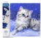 Diamond Dotz Kitten in the Snow Cat Diamond Painting Kits for Adults - Diamond Art Kits a Relaxing Creative Craft Kit with Dotz Gems 11x14